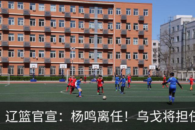 辽篮官宣：杨鸣离任！乌戈将担任辽宁男篮主帅